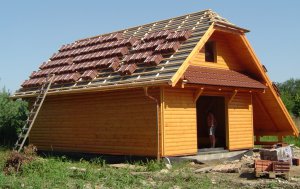 Kanadský srub s hospodářským stavením v Černovicích u Kunštátu fotografie