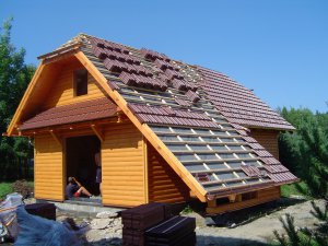 Kanadský srub s hospodářským stavením v Černovicích u Kunštátu fotografie